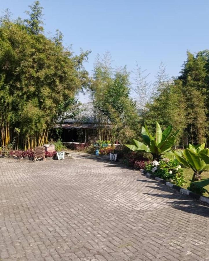 Le Bambou Gorilla Lodge Kinigi Екстериор снимка