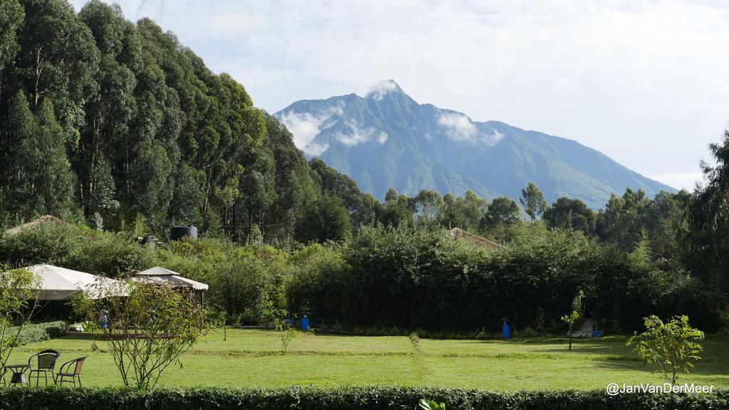 Le Bambou Gorilla Lodge Kinigi Екстериор снимка